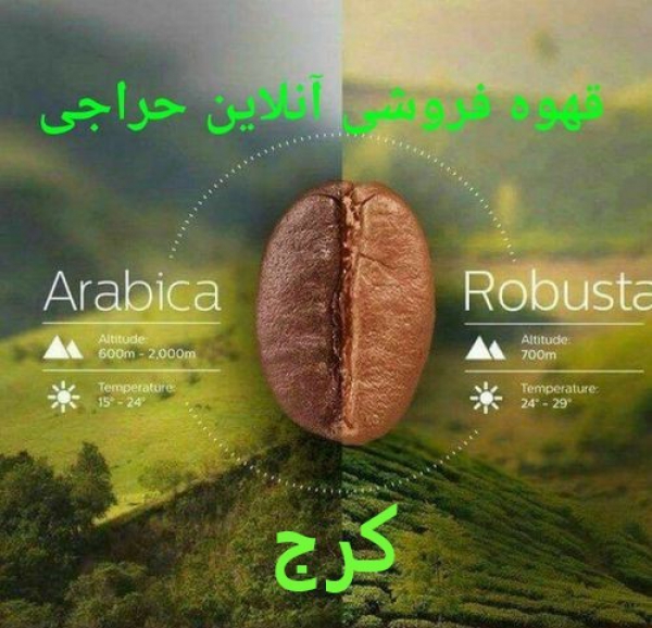 قهوه فروشی در کرج | خرید قهوه در کرج | فروش قهوه در کرج | مهرشهر | جهانشهر | گلشهر | طالقان | هشتگرد | ماهدشت | درختی